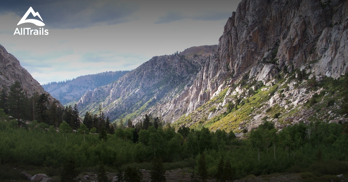 Best trail running trails in Twain Harte AllTrails