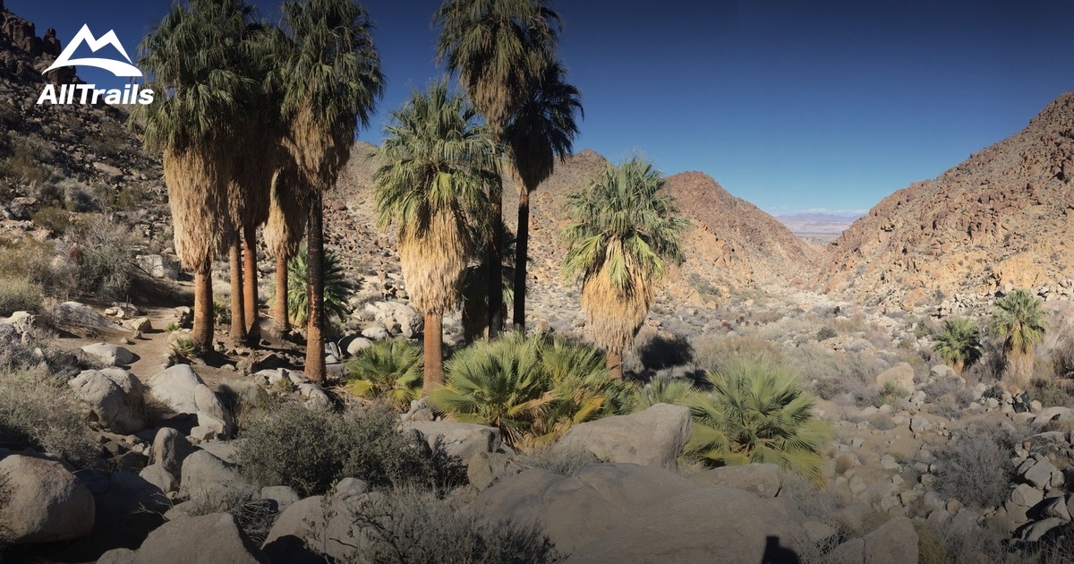 Best Trails near Twentynine Palms, California | AllTrails.com