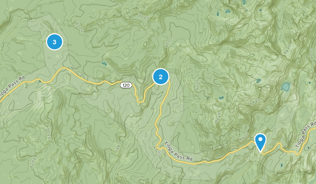 White Wolf, California Map