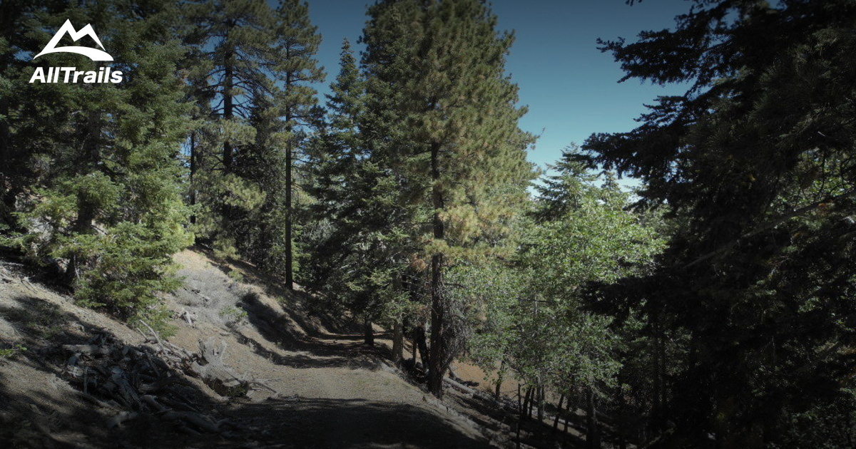 Best Trails near Wrightwood, California | AllTrails.com