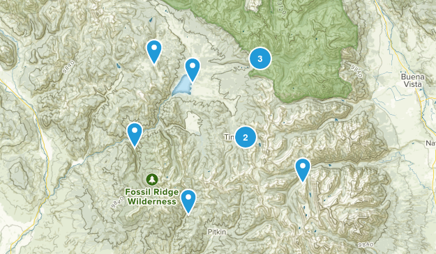 Almont, Colorado Map