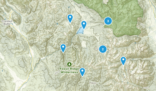 Almont, Colorado Map