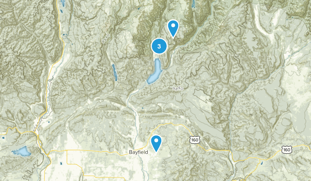 Bayfield, Colorado Map