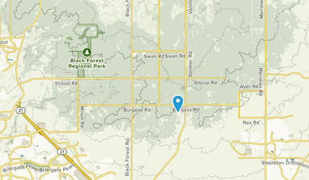 Black Forest, Colorado Map