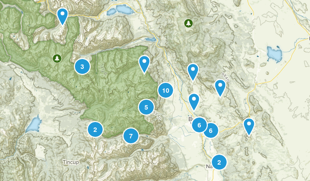 Buena Vista, Colorado Map