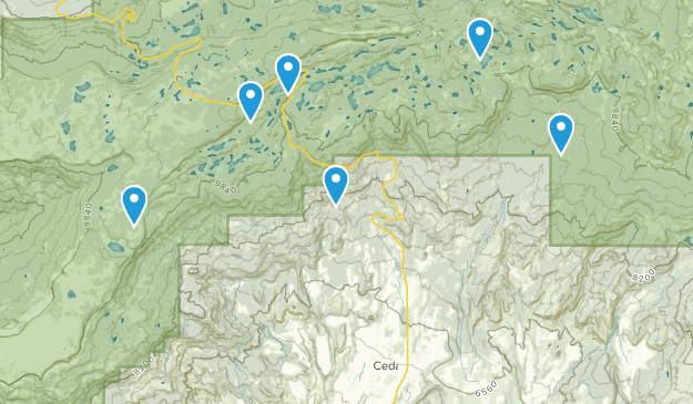 Cedaredge, Colorado Map