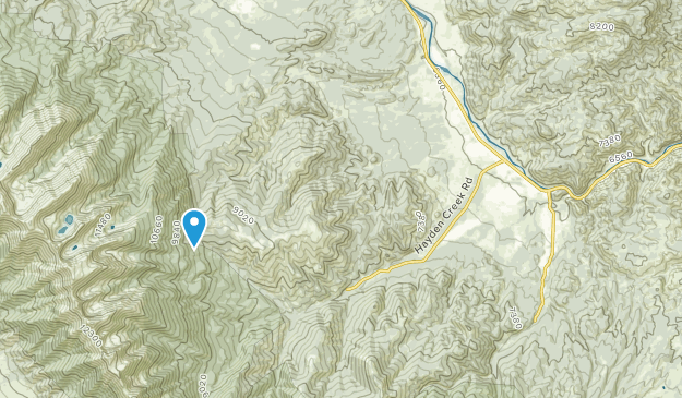 Coaldale, Colorado Map
