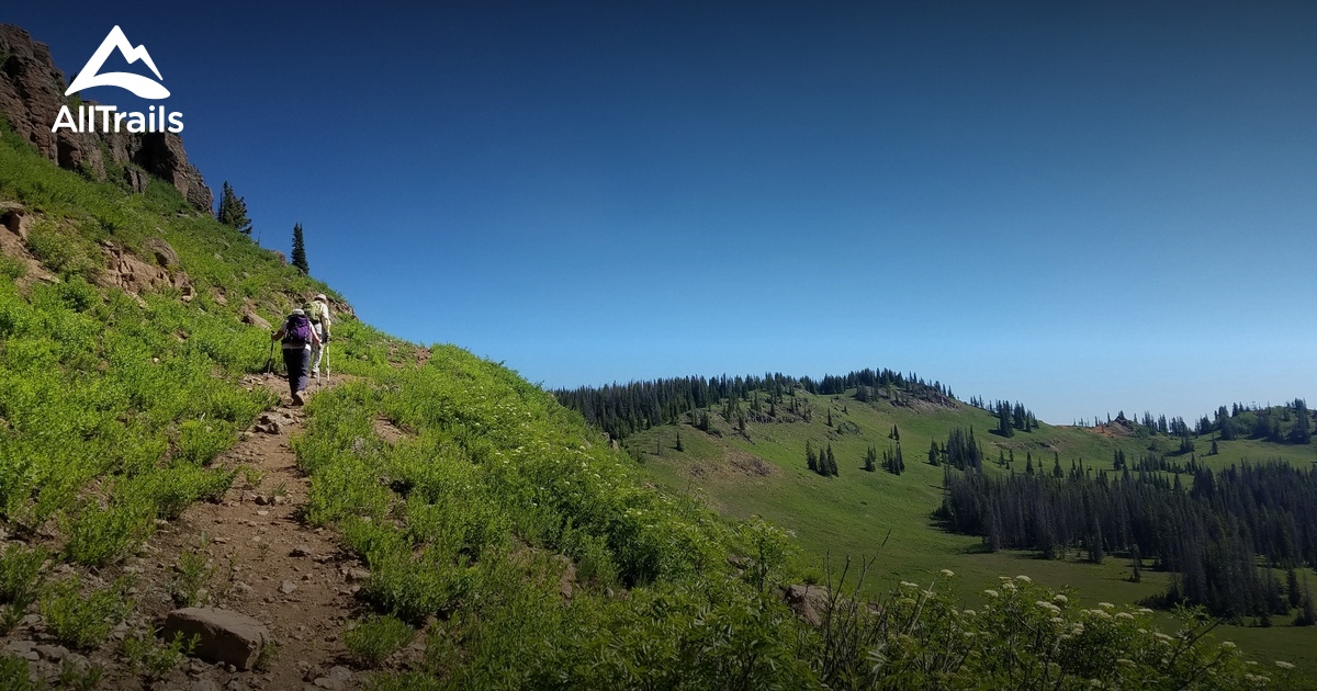 Best camping trails in Coalmont AllTrails