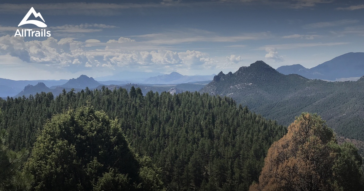 Conifer Colorado