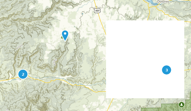 Cortez, Colorado Map