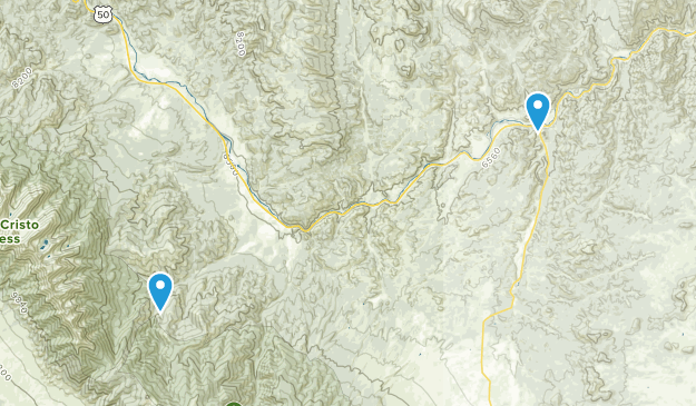 Cotopaxi, Colorado Map