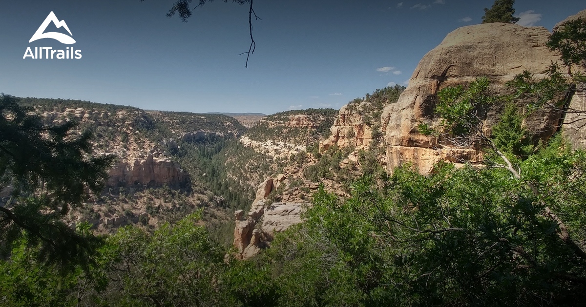 Trek Through Time: Hiking in Mesa Verde National Park Mesa verde ...