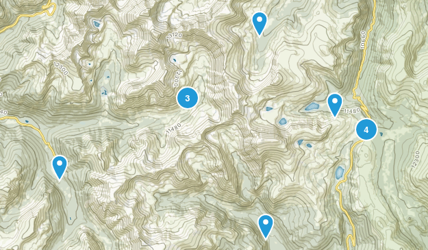 Montezuma, Colorado Map