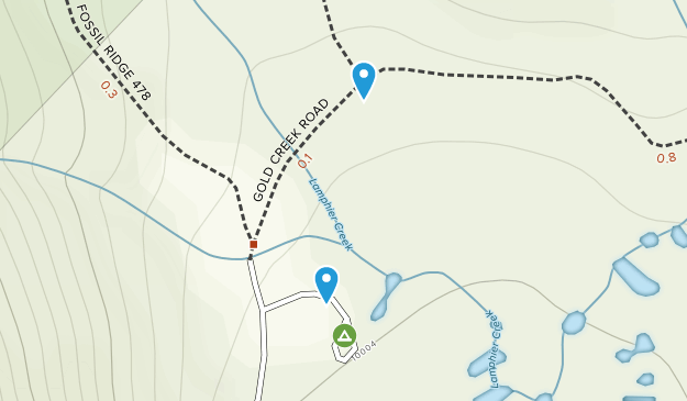 Pitkin, Colorado Map