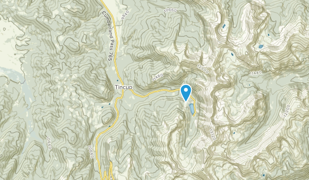 Tincup, Colorado Map
