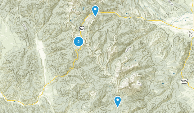 White Pine, Colorado Map