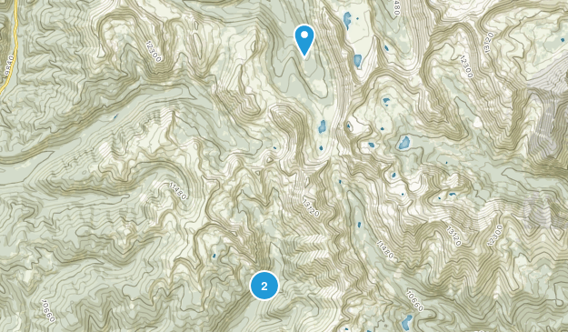 Whitepine, Colorado Map