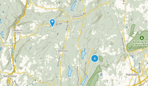 Bethany, Connecticut Map