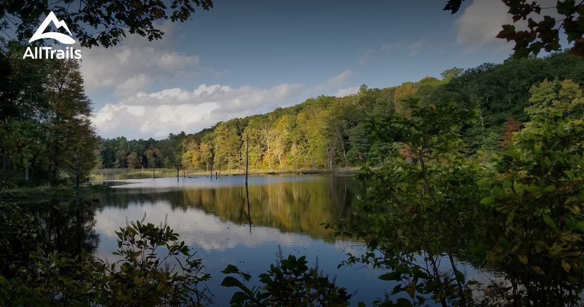 10 Best trails and hikes in Bolton AllTrails