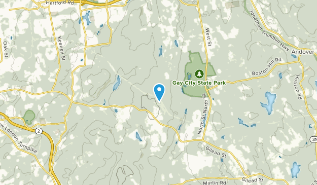 Buckingham, Connecticut Map