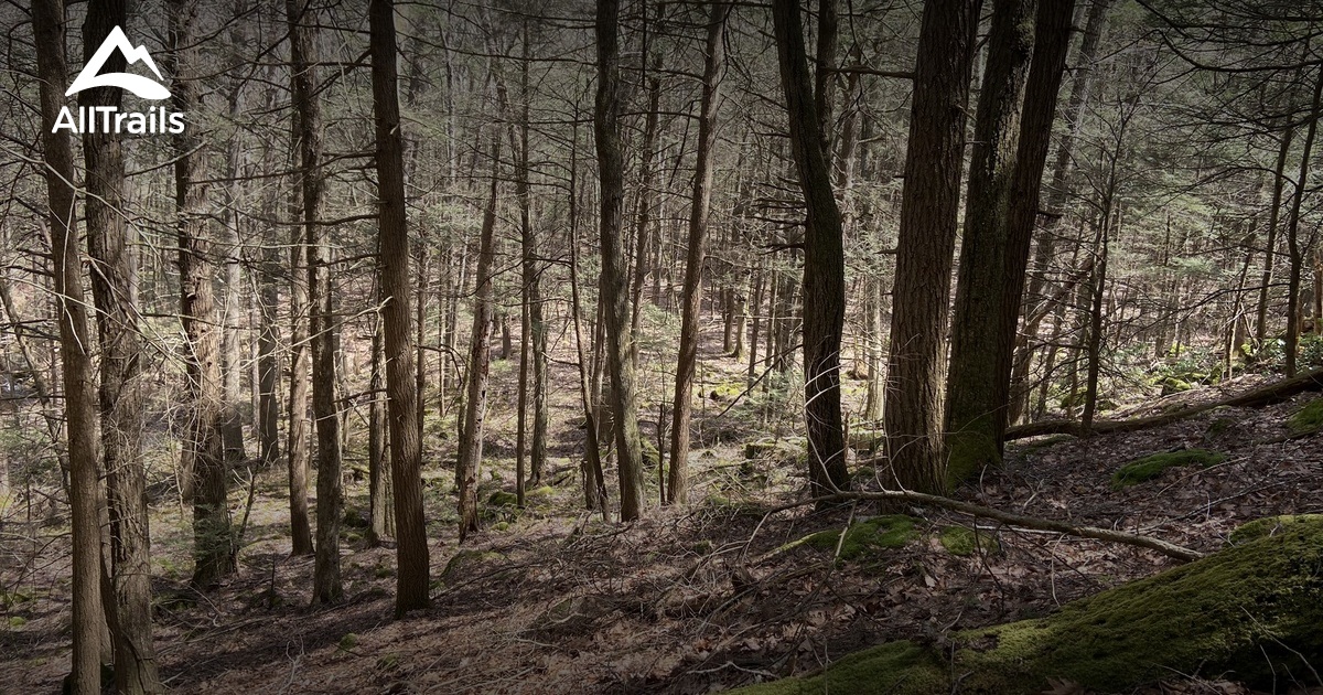 Best hikes and trails in Collinsville AllTrails