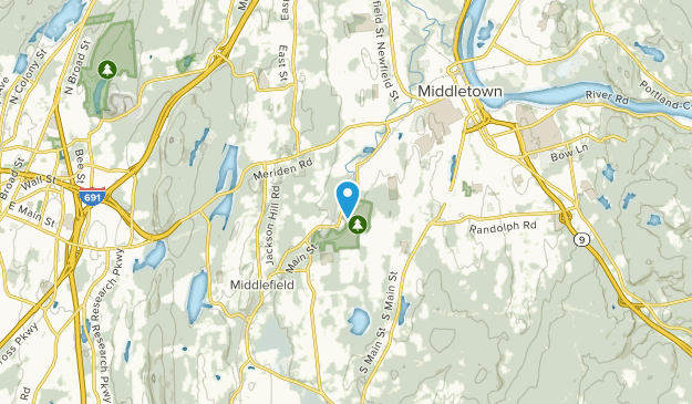 Rockfall, Connecticut Map