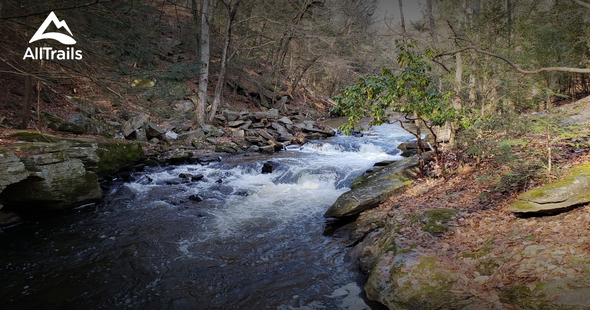 10 Best trails and hikes in Trumbull AllTrails