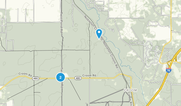 Bushnell, Florida Map