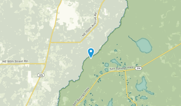 Cedar Creek, Florida Map