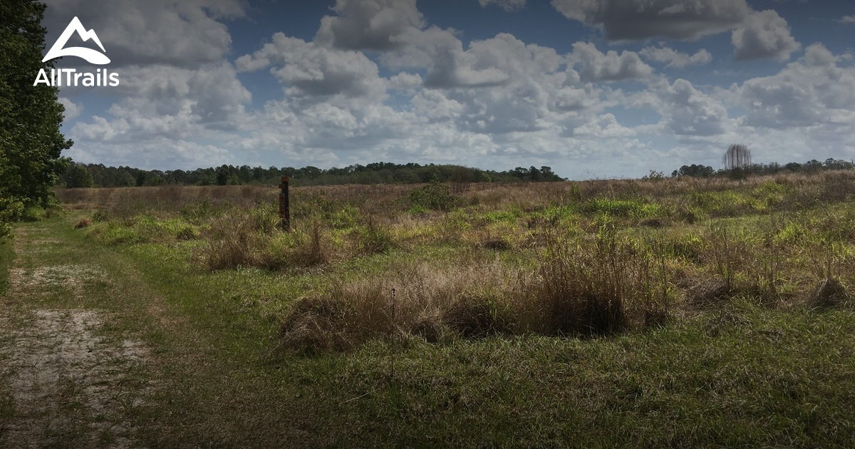 Best Trails near Clermont, Florida AllTrails