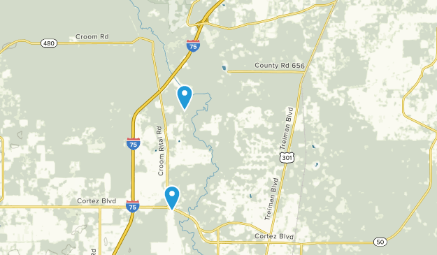 Croom, Florida Map