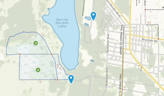 De Leon Springs, Florida Map