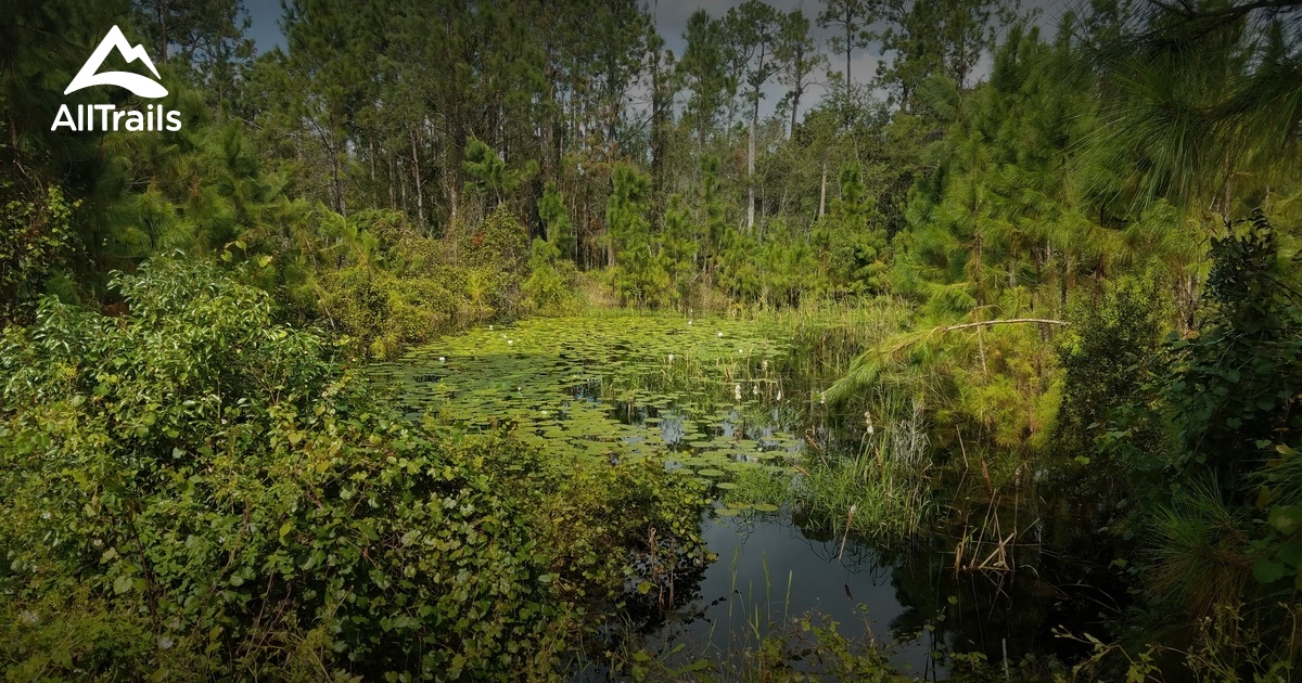 Best hikes and trails in Deltona AllTrails