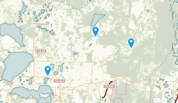 Best Trails near Eustis Florida - Us Florida Eustis 2577 20170903085941 600x350 1