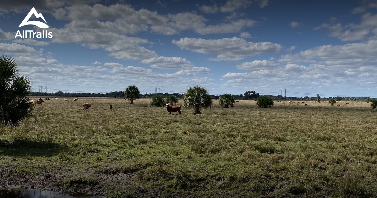 Best trails in Fellsmere, Florida AllTrails