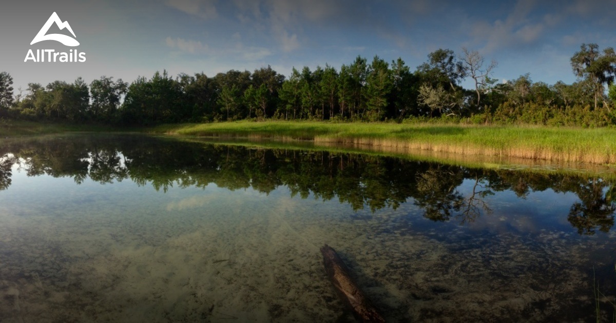 Best Trails near Georgetown Florida - Us Florida Georgetown 17074 20190607154258 1200x630 3 41559946043 