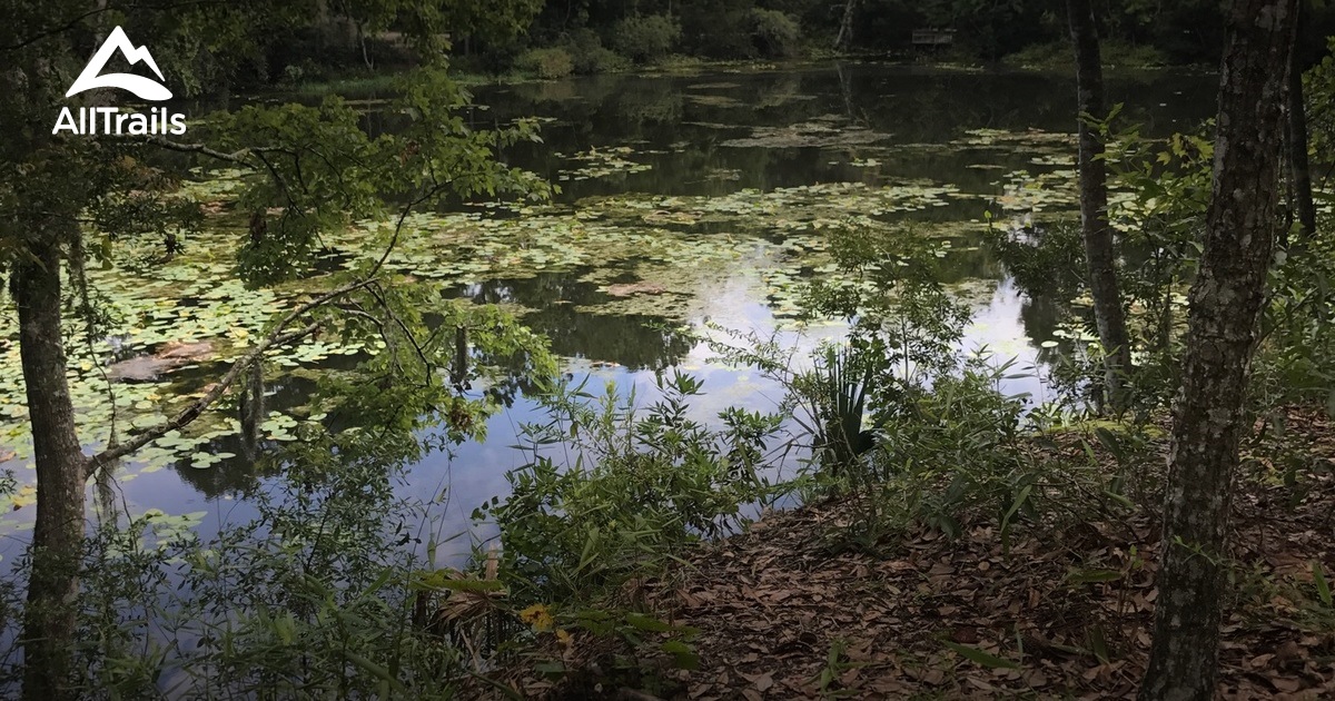 Best Trails near Jacksonville, Florida AllTrails