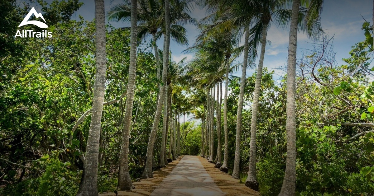 Best trails in Key Biscayne, Florida AllTrails