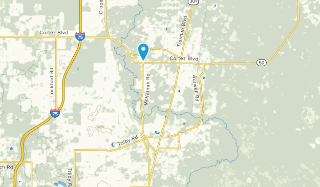 Lacoochee, Florida Map