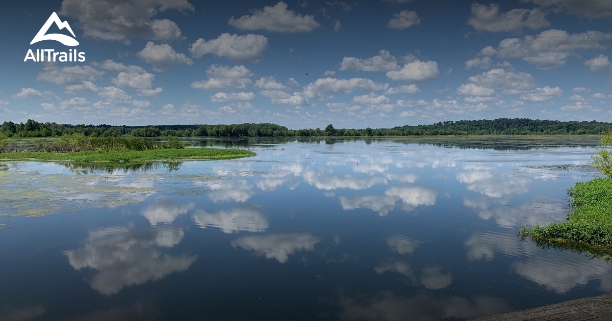 Best hikes and trails in Lake City AllTrails