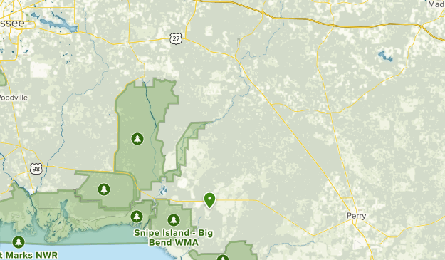 Best Trails near Lamont Florida - Us Florida Lamont 4391 20200407081404000000000 625x365 1 