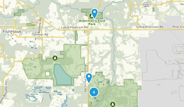 Lithia, Florida Map