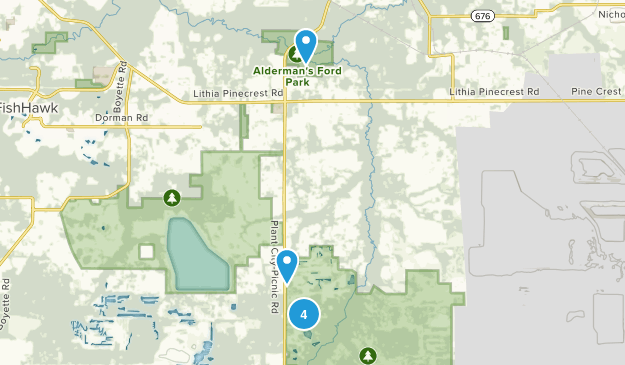 Lithia, Florida Map