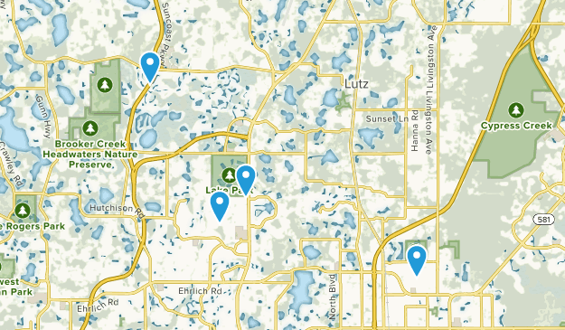 Lutz, Florida Map