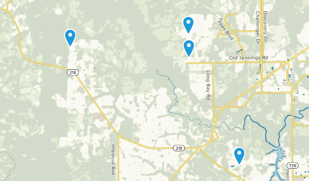 Middleburg, Florida Map