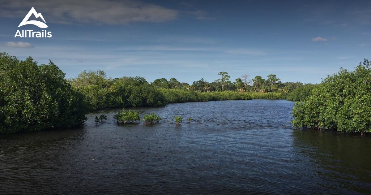 Best beach trails in Oldsmar | AllTrails