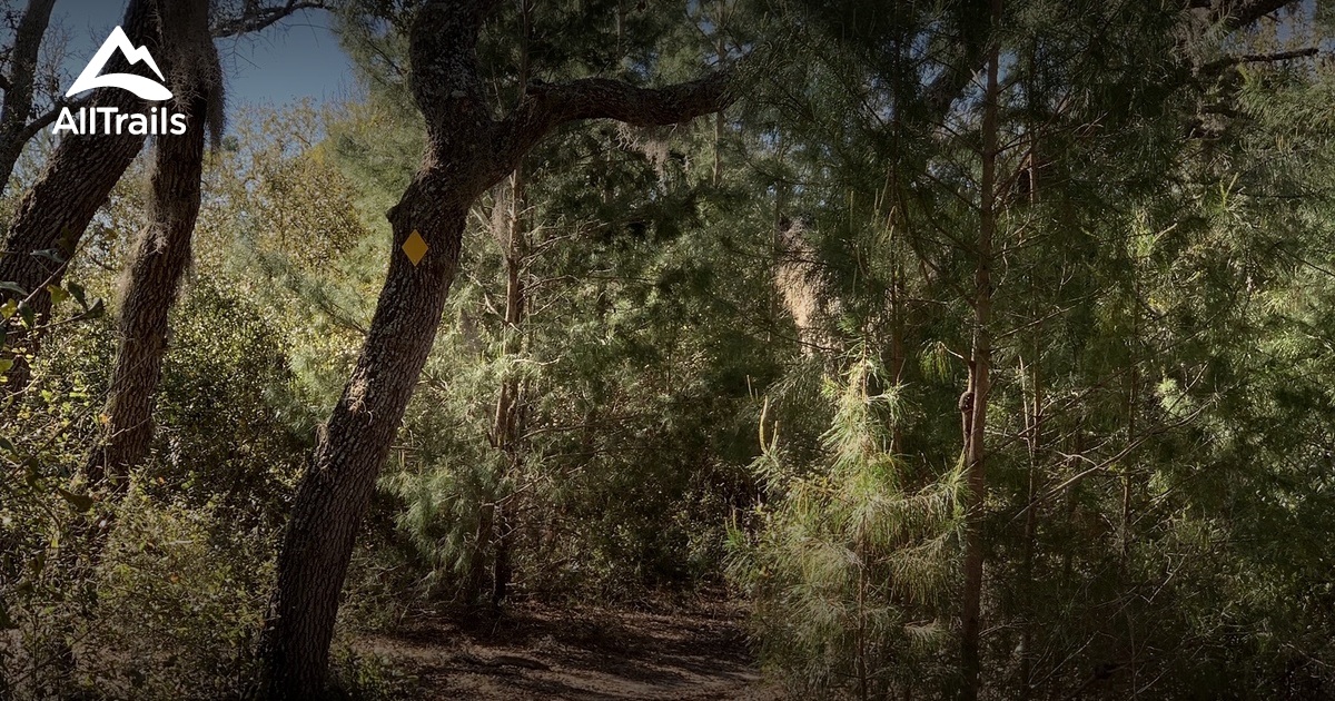 Best hikes and trails in Paisley AllTrails