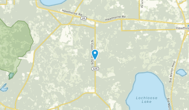 Phifer, Florida Map