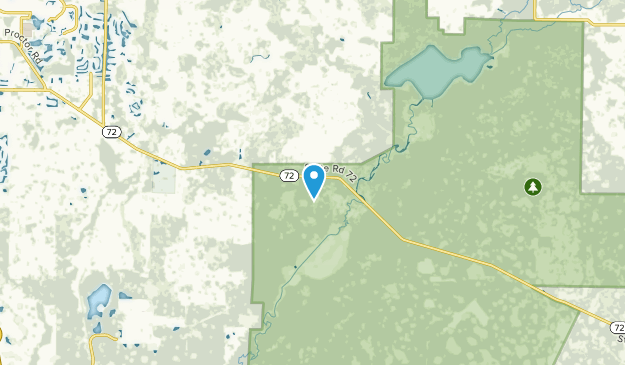 Shiney Town, Florida Map