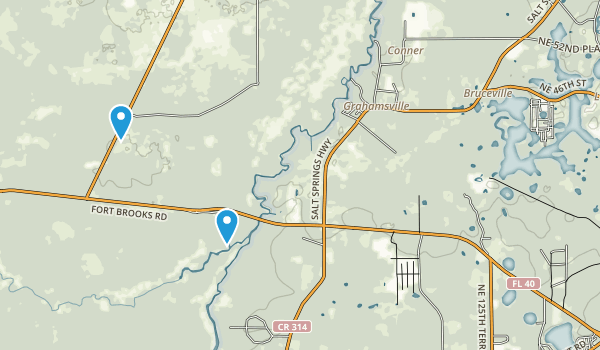 Best Trails near Silver Springs - Us Florida Silver Springs 28533 20180106092430 600x350 1